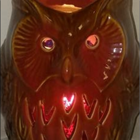 Pink Zebra Owl Shade - Picture 3 of 3